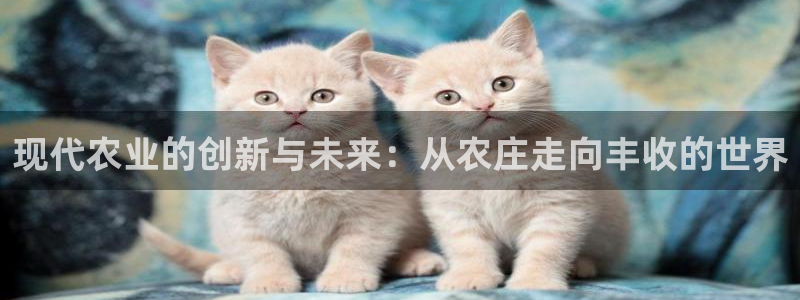 天顺娱乐q徽53339