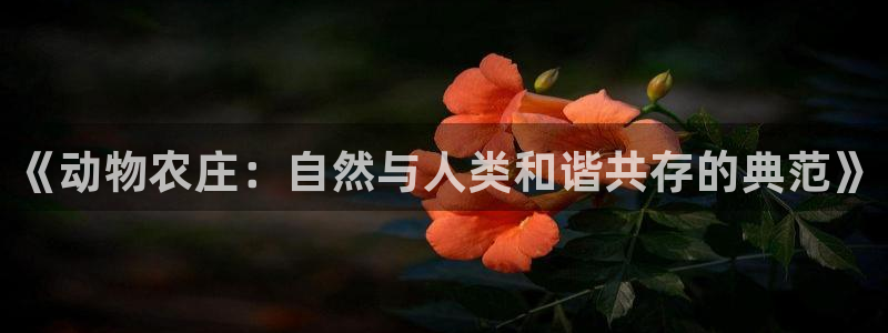 天顺娱乐孔943994