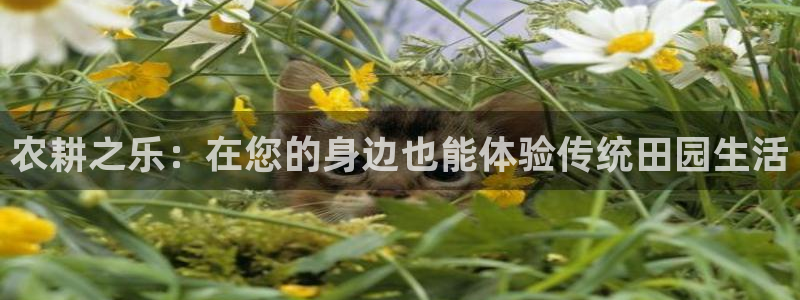 天顺娱乐鸥72182