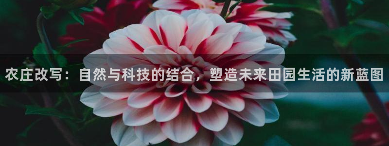 天顺娱乐毡3300