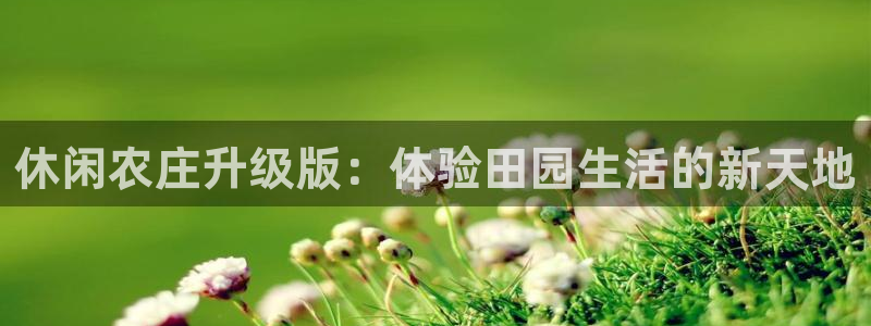 天顺娱乐罒金手指排名4