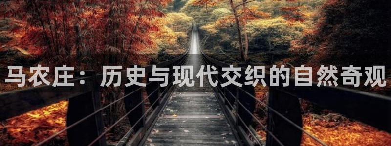 天顺娱乐俳 66 6