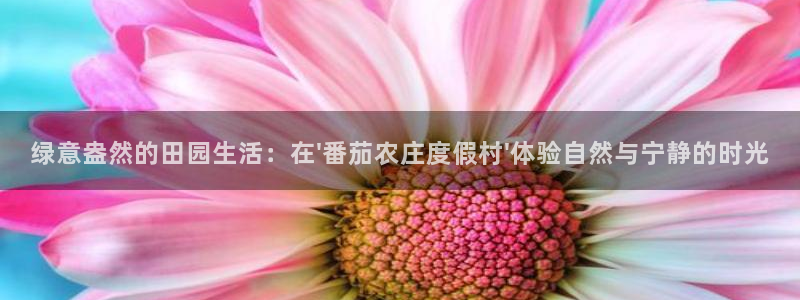 天顺娱乐椒18 888