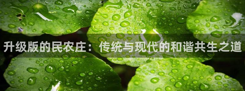 天顺娱乐代理怎么样啊