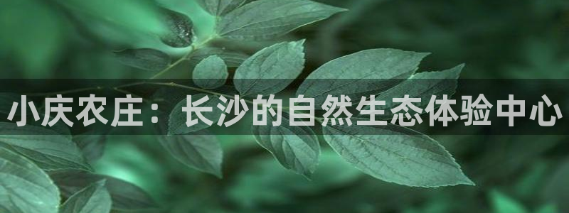 天顺娱乐03i判官333OO