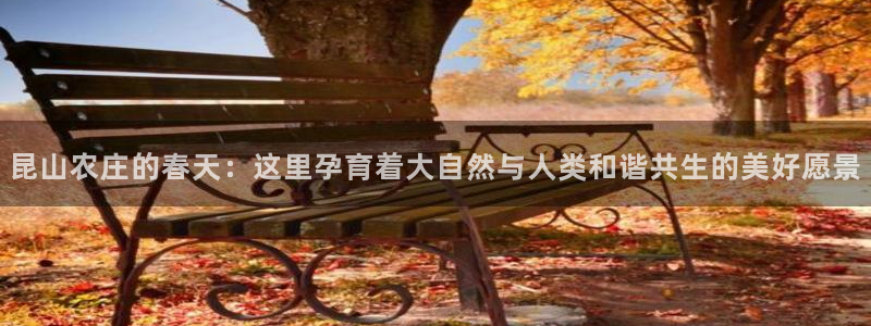 天顺娱乐负责人龙理pg29999