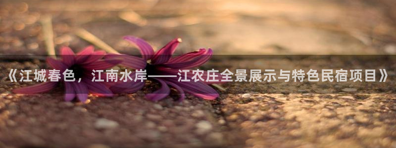天顺娱乐地址查询