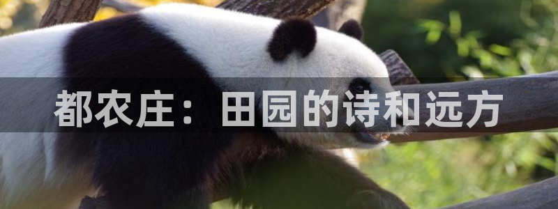 天顺娱乐酉943994