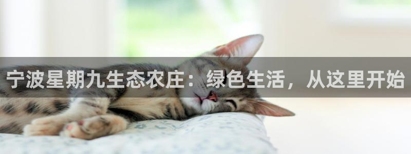 天顺娱乐主管都做什么的