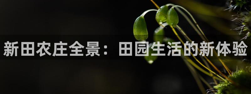 天顺娱乐夷 66 6