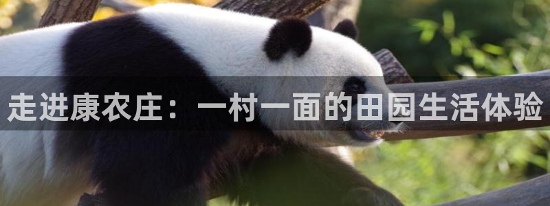 天顺娱乐负责人钅灵pg22650