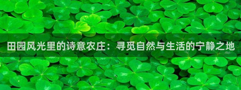 娱乐主播聊天顺序