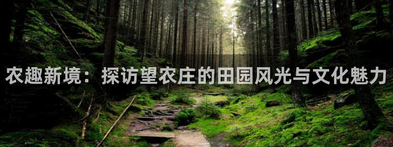 天顺娱乐岗943994