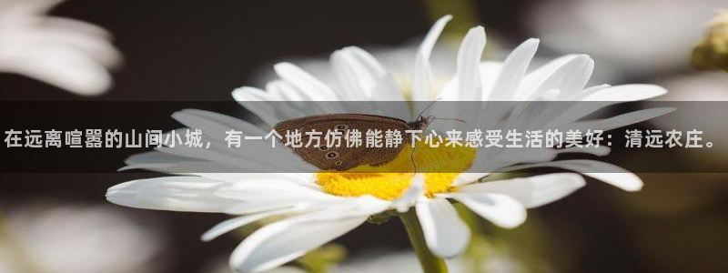 天顺娱乐枪沟74ooo5嫌