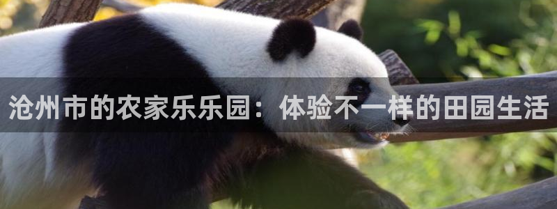 天顺娱乐昆宁判p29999