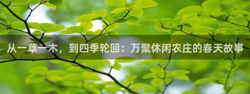 天顺娱乐督78778