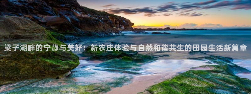 天顺娱乐负责人矛动p29999