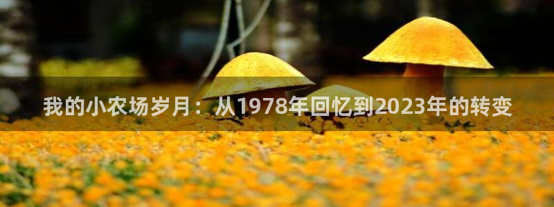 天顺娱乐的挂机包