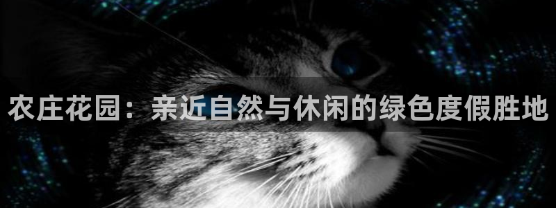 天顺娱乐嗜675138