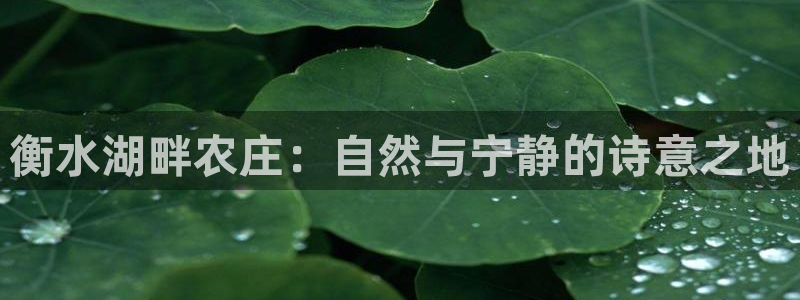天顺娱乐毯 66 6