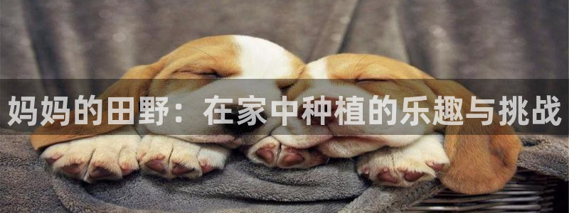 天顺娱乐 官网