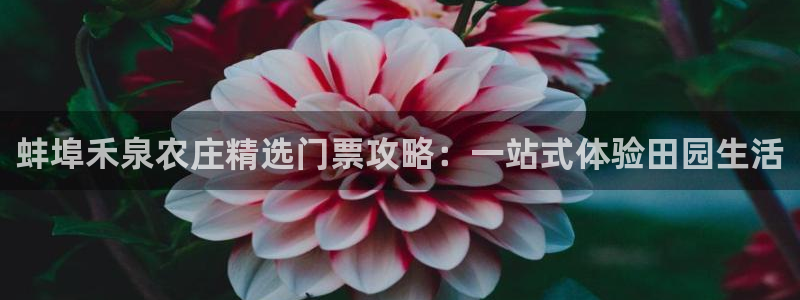 天顺娱乐毒 66 6