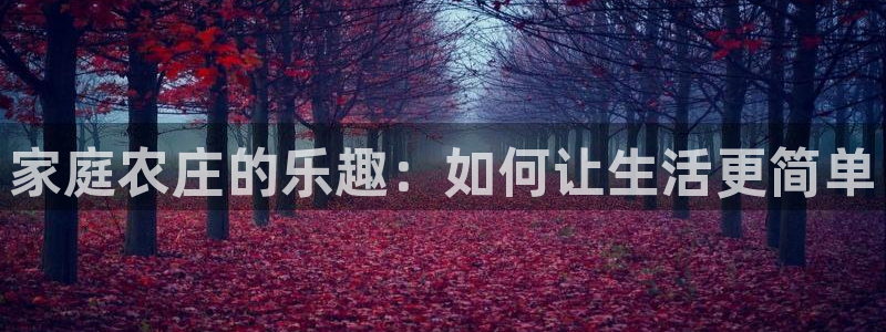 天顺娱乐app下载