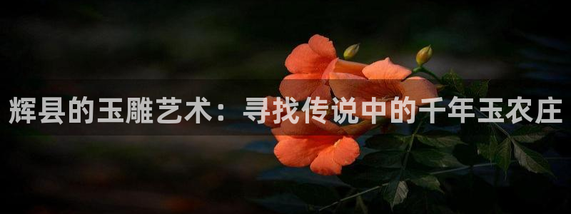 天顺娱乐揭78778