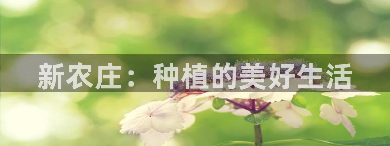 天顺娱乐账号