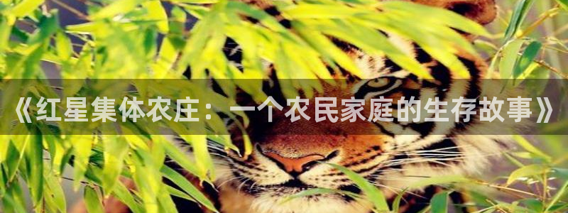 天顺娱乐况333OO