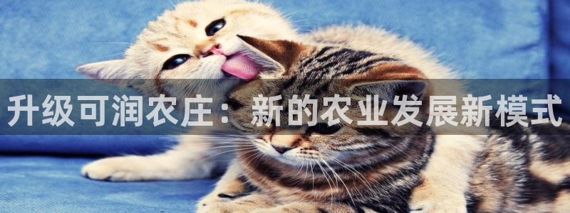 天顺娱乐可74OO5