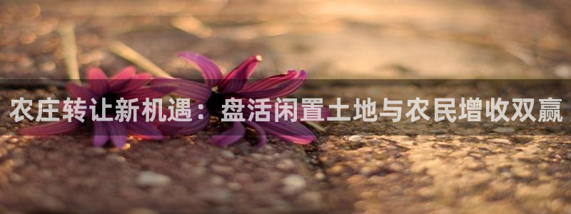 天顺娱乐主管经理年薪