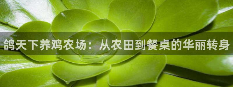 天顺娱乐瞬靥70648