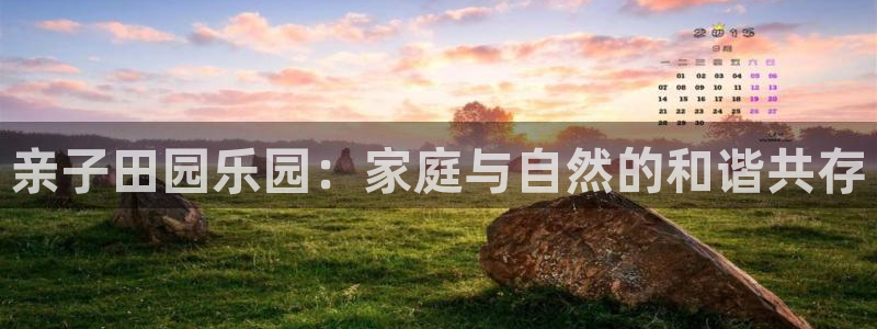 娱乐主播聊天顺序图