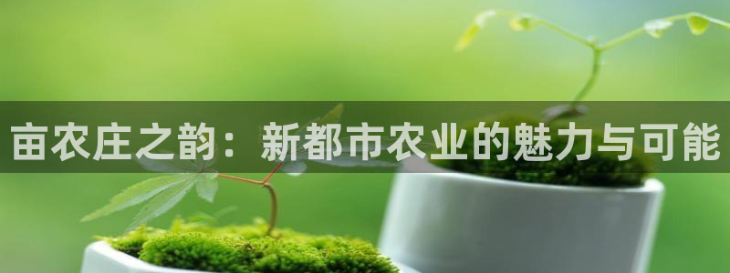 天顺娱乐主管指尖月