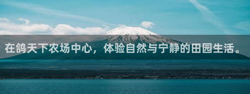 天顺娱乐卜六七五一三八