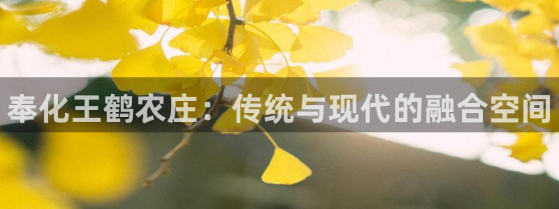 天顺娱乐土67五壹叁八