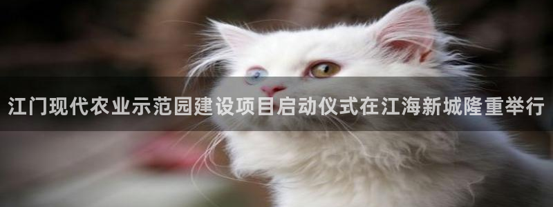 天顺娱乐官方网站