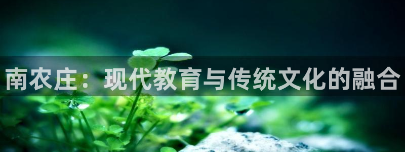 天顺娱乐 92229实c力