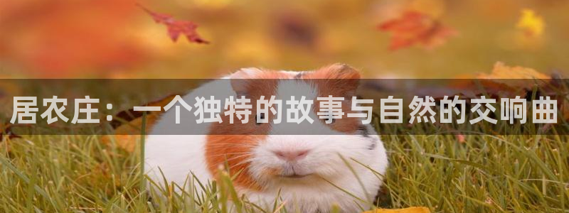 天顺娱乐诽47 344