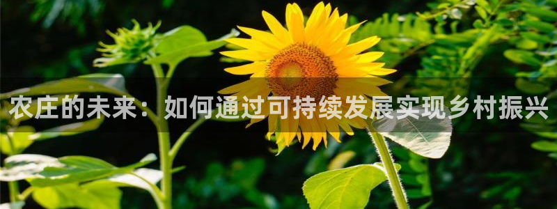 天顺娱乐代理