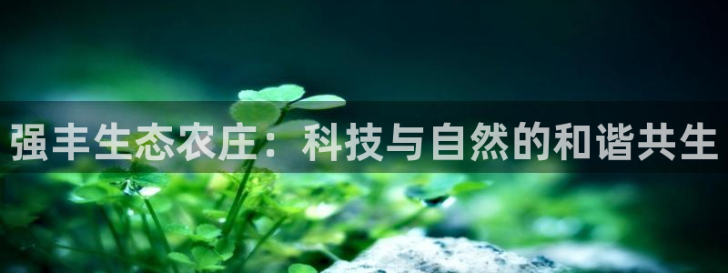 天顺娱乐招商左原判官333OO