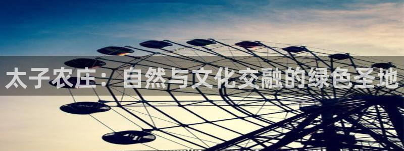 天顺娱乐 53339总u管
