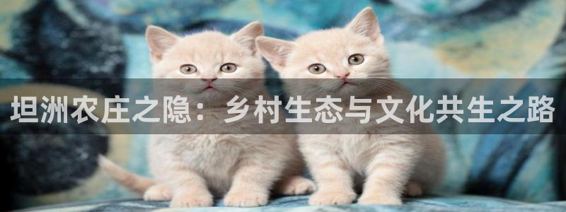 天顺娱乐持333OO
