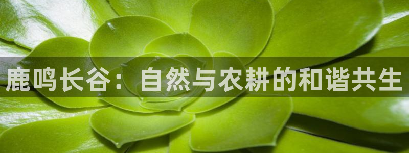 天顺娱乐曰943994