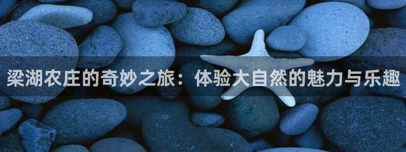 天顺娱乐官方下载