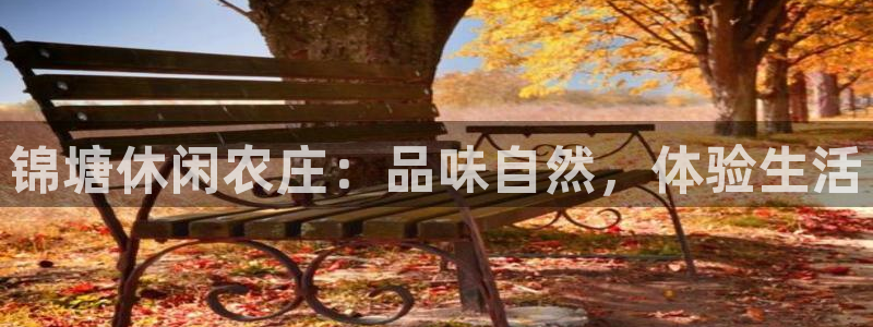 天顺娱乐开q96303