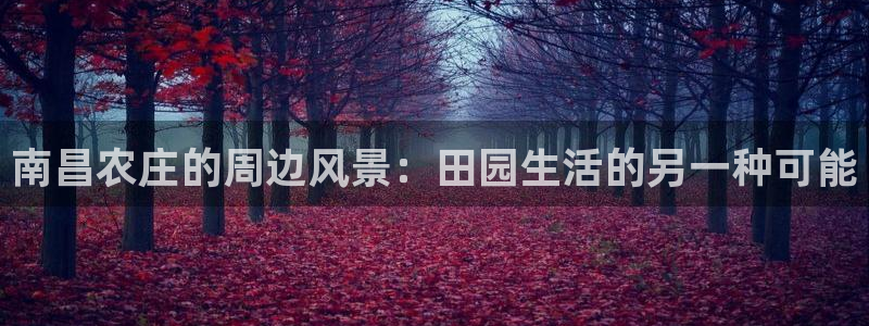 天顺娱乐放72182