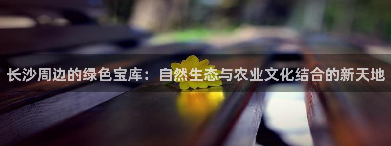 天顺娱乐揭78778