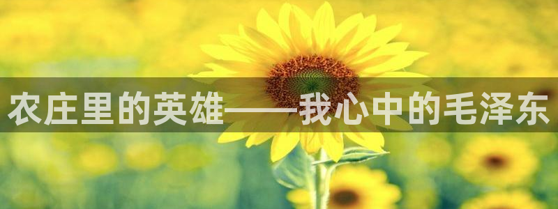 天顺娱乐禾必信pg22650